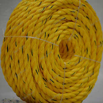 application image
